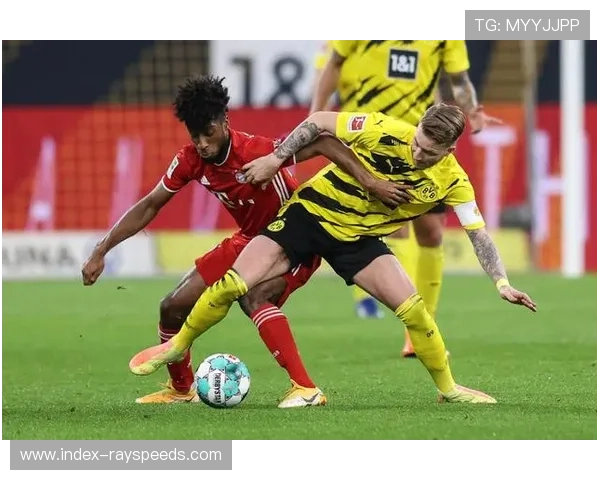 德甲冬季转会窗冷清，多特蒙德选择按兵不动